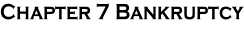 Chapter 7 Bankruptcy